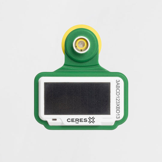 Ceres Ranch Ver2 ピン装着時